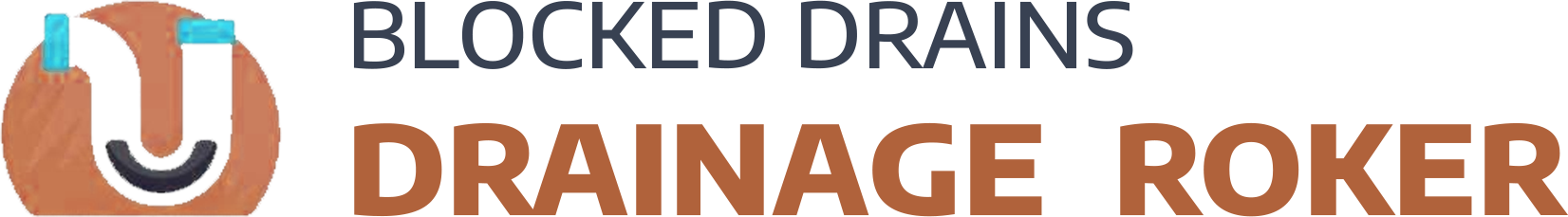 website logo